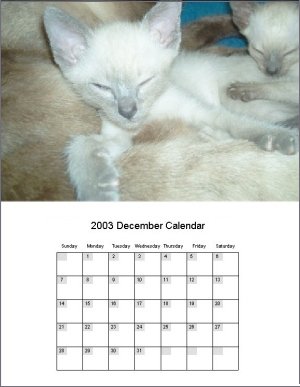 Printable Calendars Icon