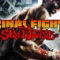 Final Fight Streetwise