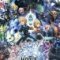 World of Final Fantasy