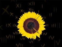 Sunflower Clock ScreenSaver