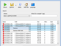 SoftPerfect File Recovery