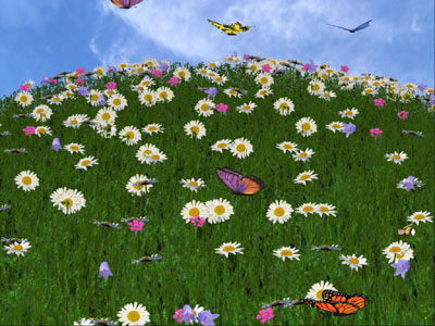 3D Camomile Field Screensaver