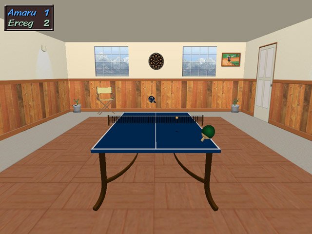 Table Tennis Pro