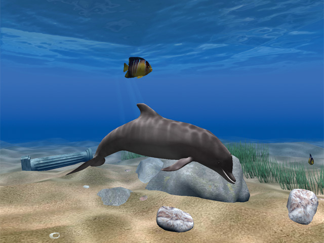 Dolphin Aqua Life 3D Screensaver