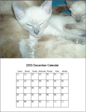 Calendars Software