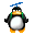 :pingouin02: