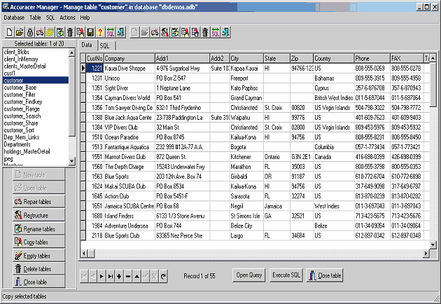 Accuracer Database System