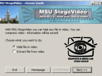 MSU StegoVideo