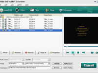 EZuse DVD To MKV Converter