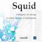 Review du livre Squid :  Intégrez un proxy à votre réseau d'entreprise