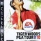 Tiger Woods PGA Tour 10