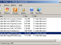 Alive Video to Flash Converter