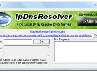 IpDnsResolver