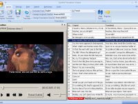 Subtitle Translation Wizard