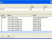 Interactive DNS Query