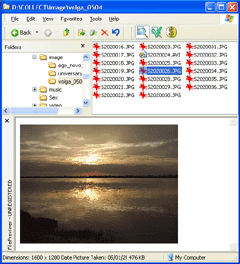 FilePreviewer