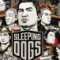 Sleeping Dogs