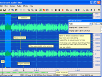 Antechinus Audio Editor