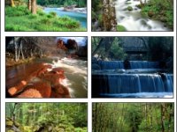 Rivers In Nature Screensaver