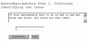 Beyond Agoraphobia, Self Help Software
